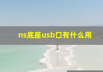 ns底座usb口有什么用