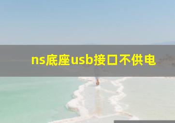 ns底座usb接口不供电