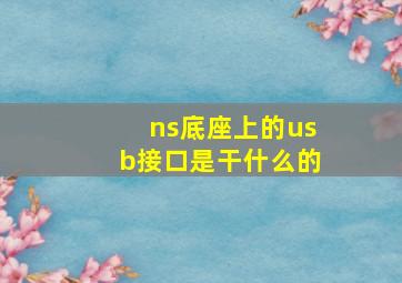 ns底座上的usb接口是干什么的