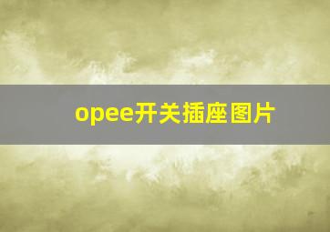 opee开关插座图片