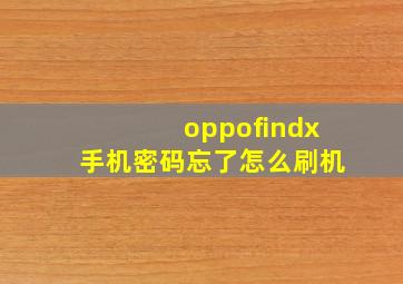 oppofindx手机密码忘了怎么刷机