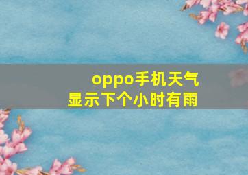 oppo手机天气显示下个小时有雨