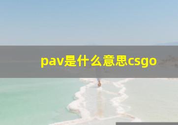 pav是什么意思csgo