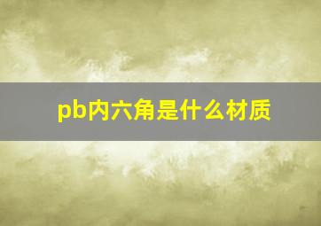 pb内六角是什么材质