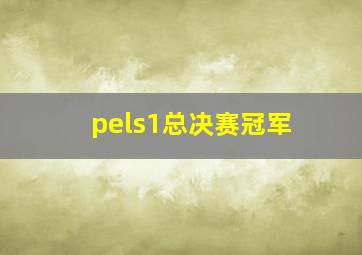 pels1总决赛冠军