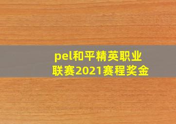 pel和平精英职业联赛2021赛程奖金