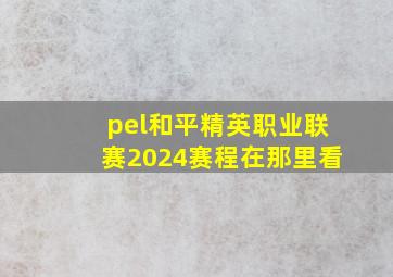 pel和平精英职业联赛2024赛程在那里看