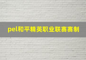 pel和平精英职业联赛赛制