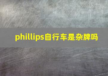 phillips自行车是杂牌吗