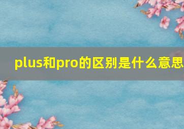 plus和pro的区别是什么意思