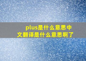 plus是什么意思中文翻译是什么意思啊了