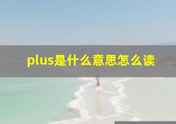 plus是什么意思怎么读