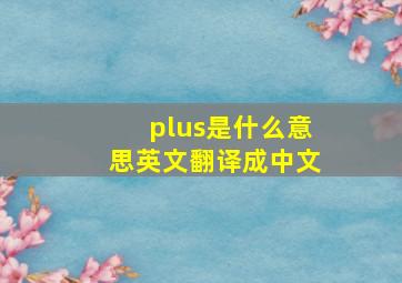 plus是什么意思英文翻译成中文