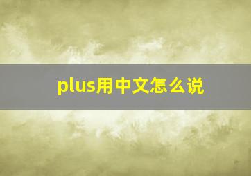 plus用中文怎么说