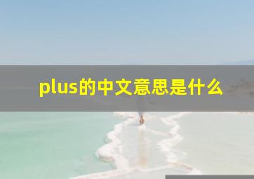 plus的中文意思是什么