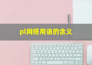 pl网络用语的含义