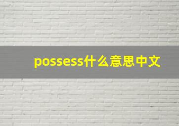 possess什么意思中文