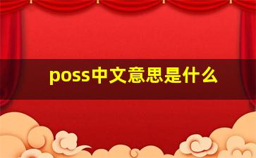 poss中文意思是什么