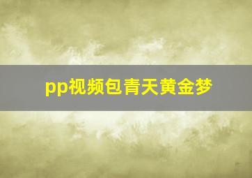 pp视频包青天黄金梦