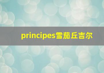 principes雪茄丘吉尔