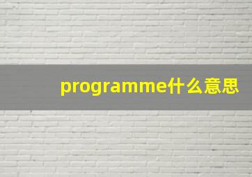 programme什么意思