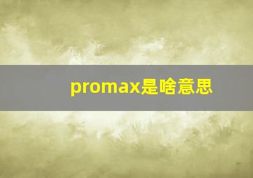 promax是啥意思