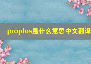 proplus是什么意思中文翻译