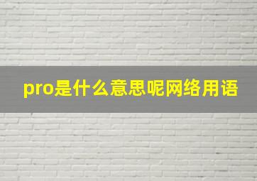 pro是什么意思呢网络用语