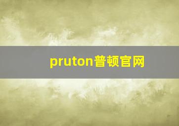 pruton普顿官网