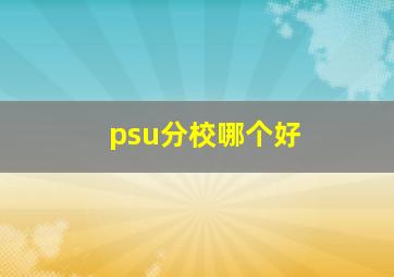 psu分校哪个好