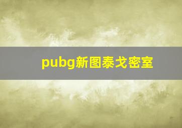 pubg新图泰戈密室