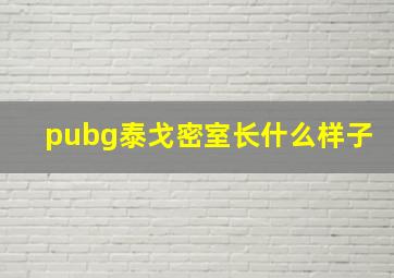 pubg泰戈密室长什么样子