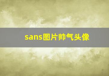 sans图片帅气头像