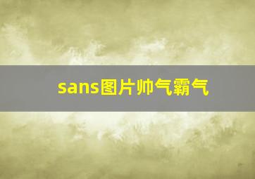 sans图片帅气霸气