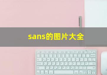 sans的图片大全