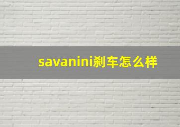 savanini刹车怎么样