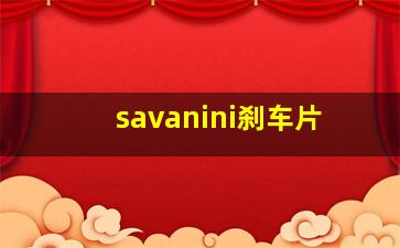 savanini刹车片