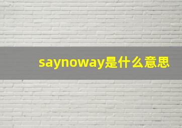 saynoway是什么意思