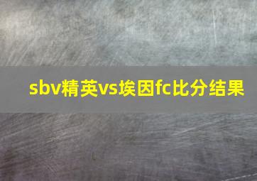 sbv精英vs埃因fc比分结果