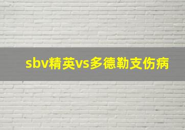 sbv精英vs多德勒支伤病