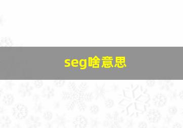 seg啥意思