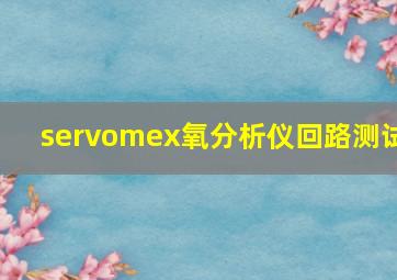 servomex氧分析仪回路测试