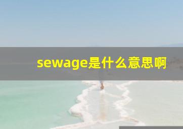 sewage是什么意思啊