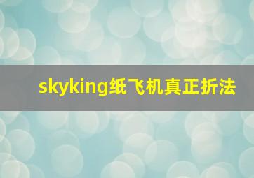 skyking纸飞机真正折法