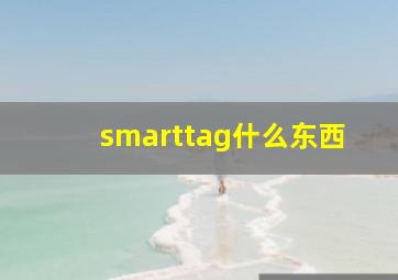 smarttag什么东西