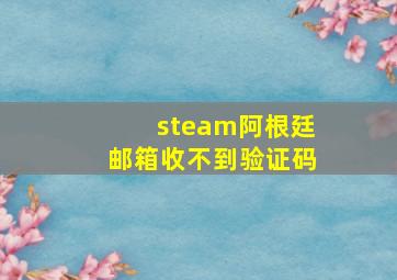 steam阿根廷邮箱收不到验证码