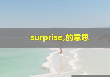 surprise,的意思