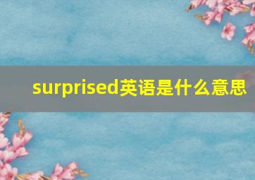 surprised英语是什么意思