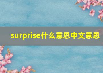 surprise什么意思中文意思