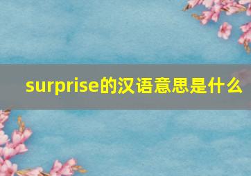 surprise的汉语意思是什么